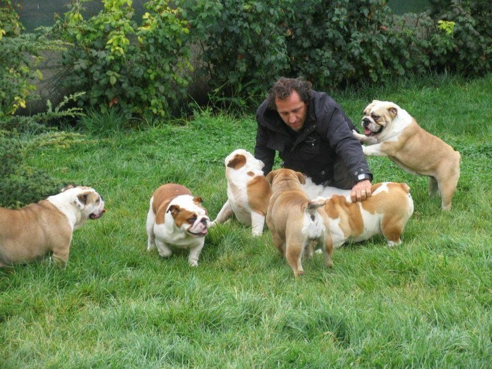 Criadero MilCachorros