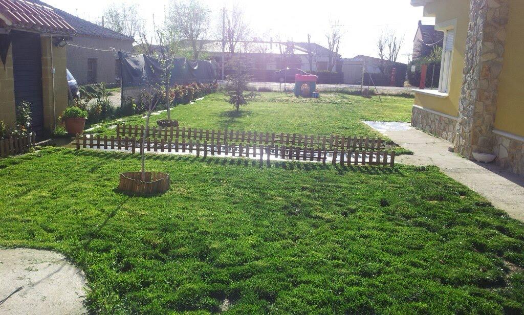 Criadero de perros MilCachorros