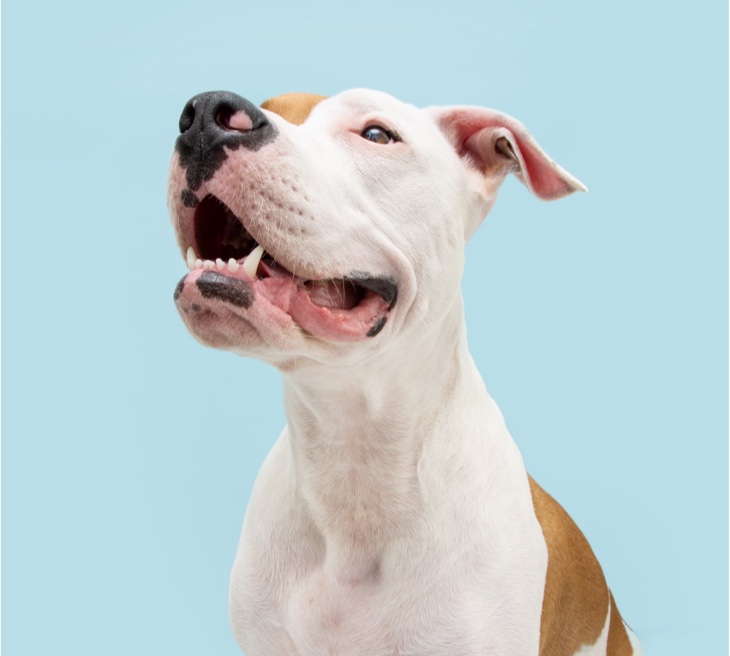 Home Mix iStock 1321101645