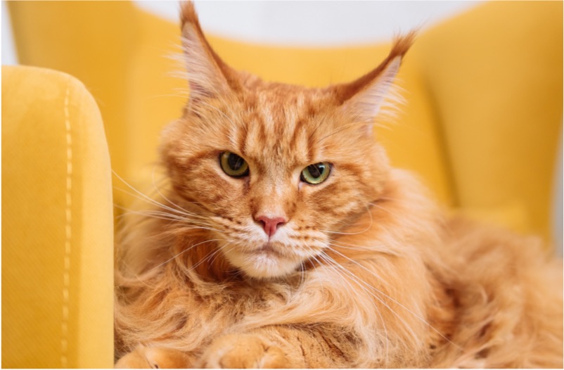 Blog pexels thirdman 8942601